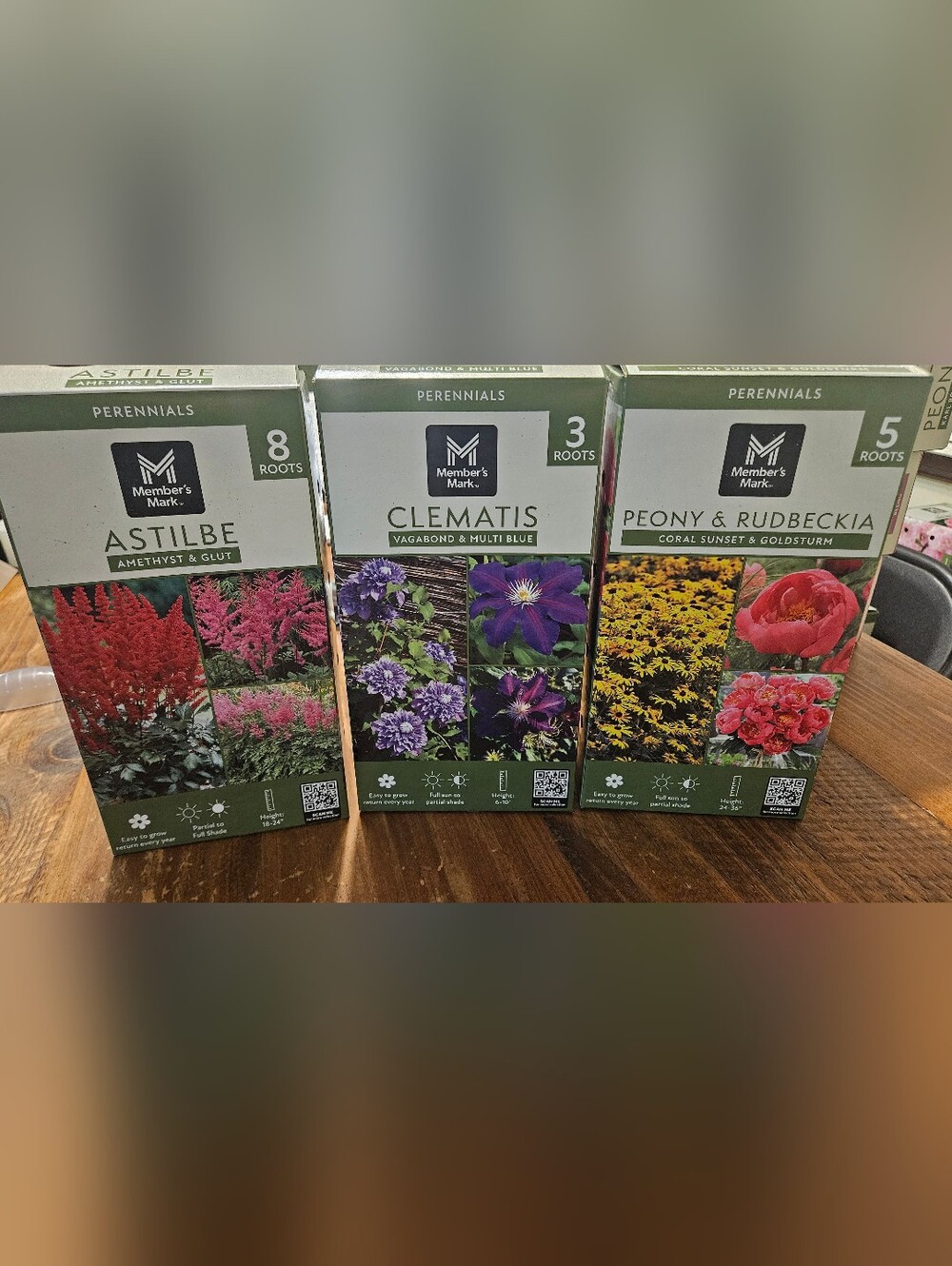 Astilbe, Clematis, Peony, And Rudabeckia Bulbs